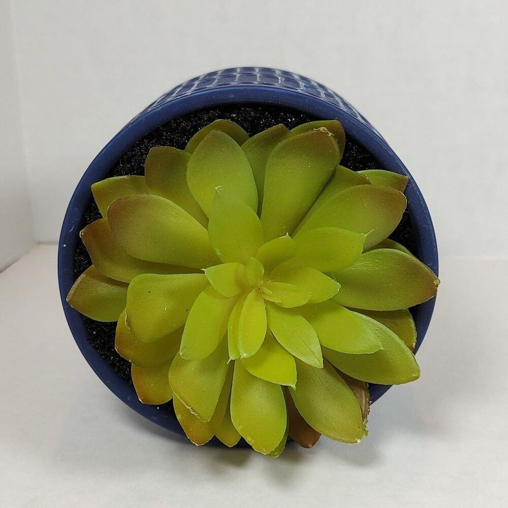 Artificial Fake Succulent Plant Blue Textured Ceramic Planter Whitewashed Desk - Picture 8 of 10